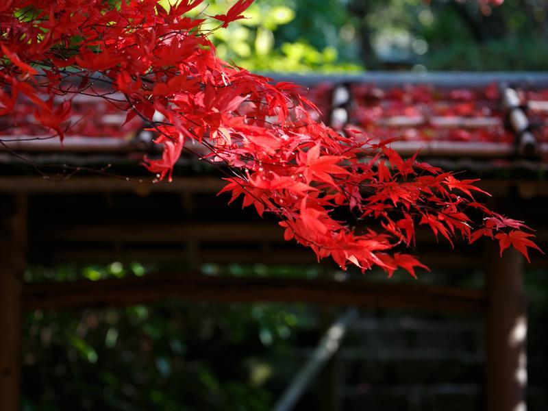 Nakanobo Zuien  Kōbe Exterior foto